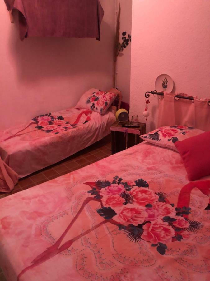 Hotel Restaurant Le Delta سانت ماري دو لا مير المظهر الخارجي الصورة